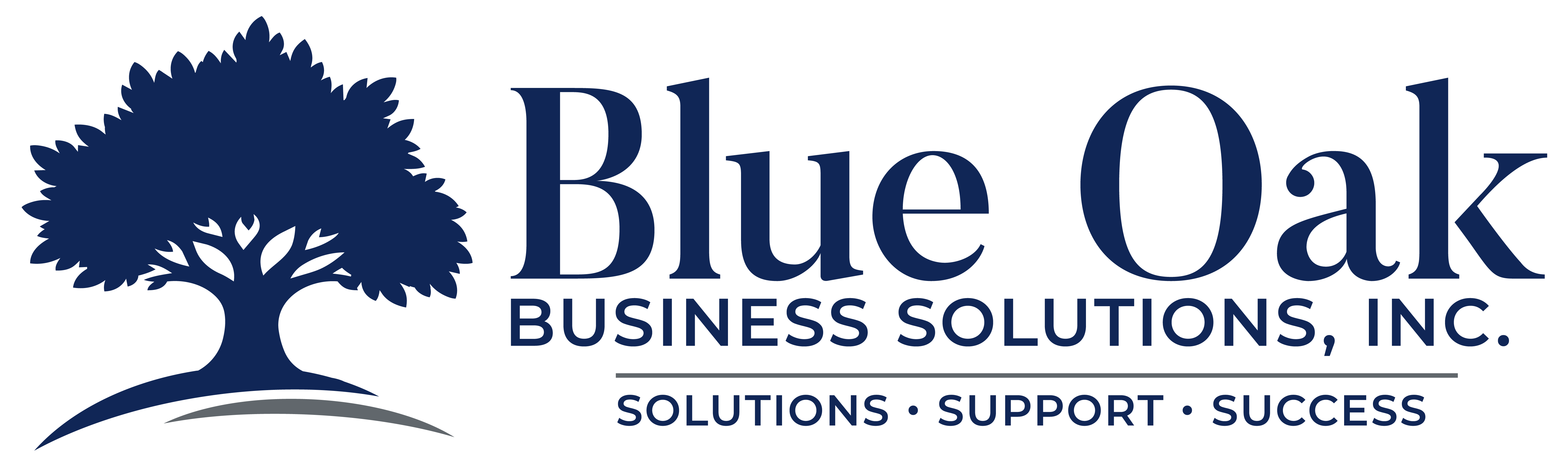 Blue Oak Business Solutions, Inc. — Solutions, Support, Success